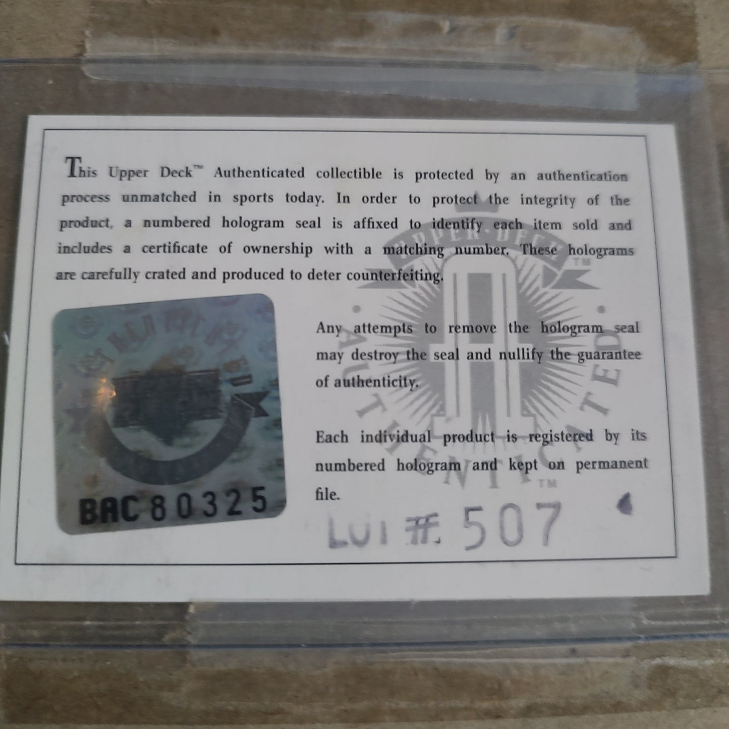 Michael Jordan UDA Upper Deck Authenticated Signed Framed 8x10 Photograph Toon Squad