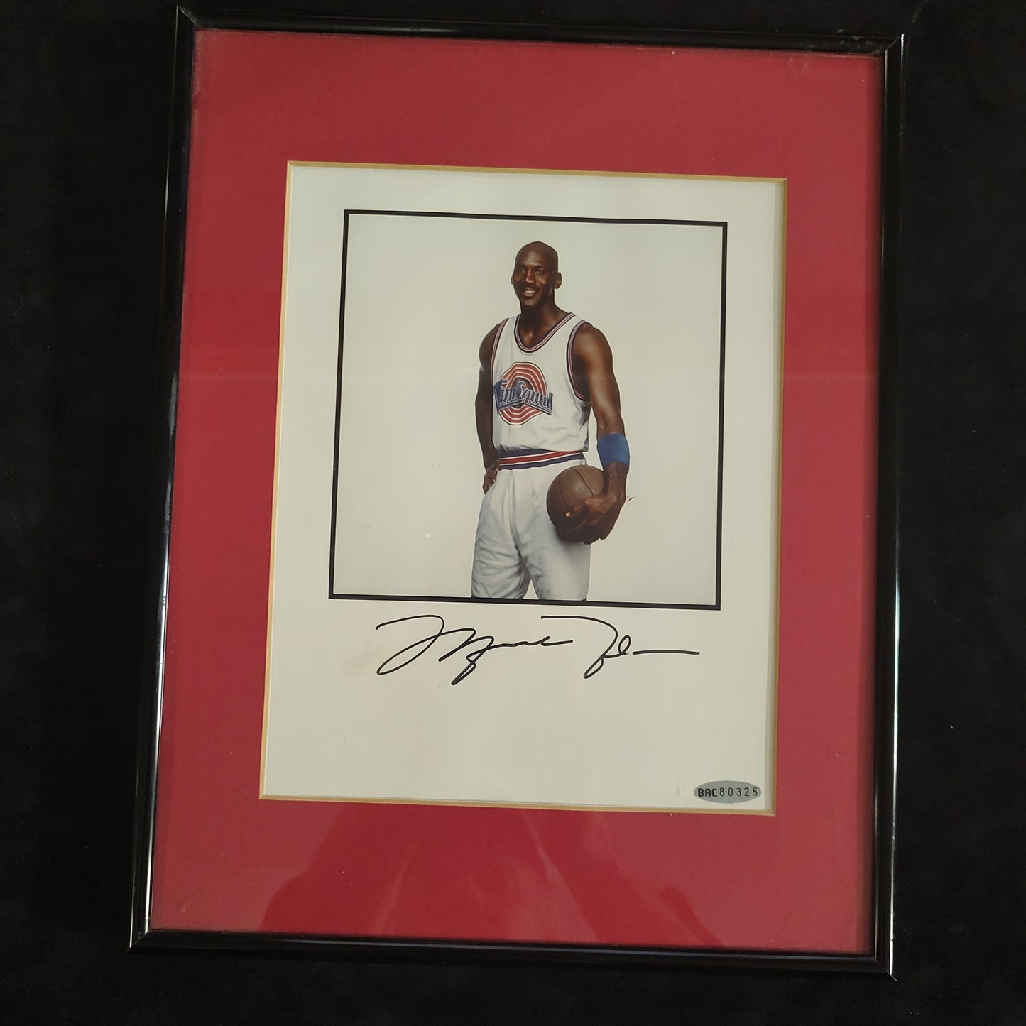 Michael Jordan UDA Upper Deck Authenticated Signed Framed 8x10 Photograph Toon Squad