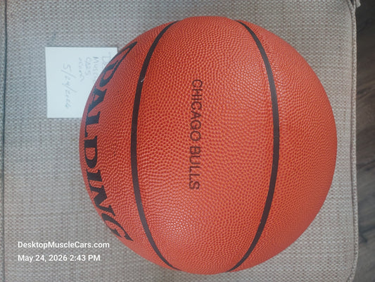 Chicago Bulls Spalding Official Game Basketball David Stern Commissioner (Jordan era)